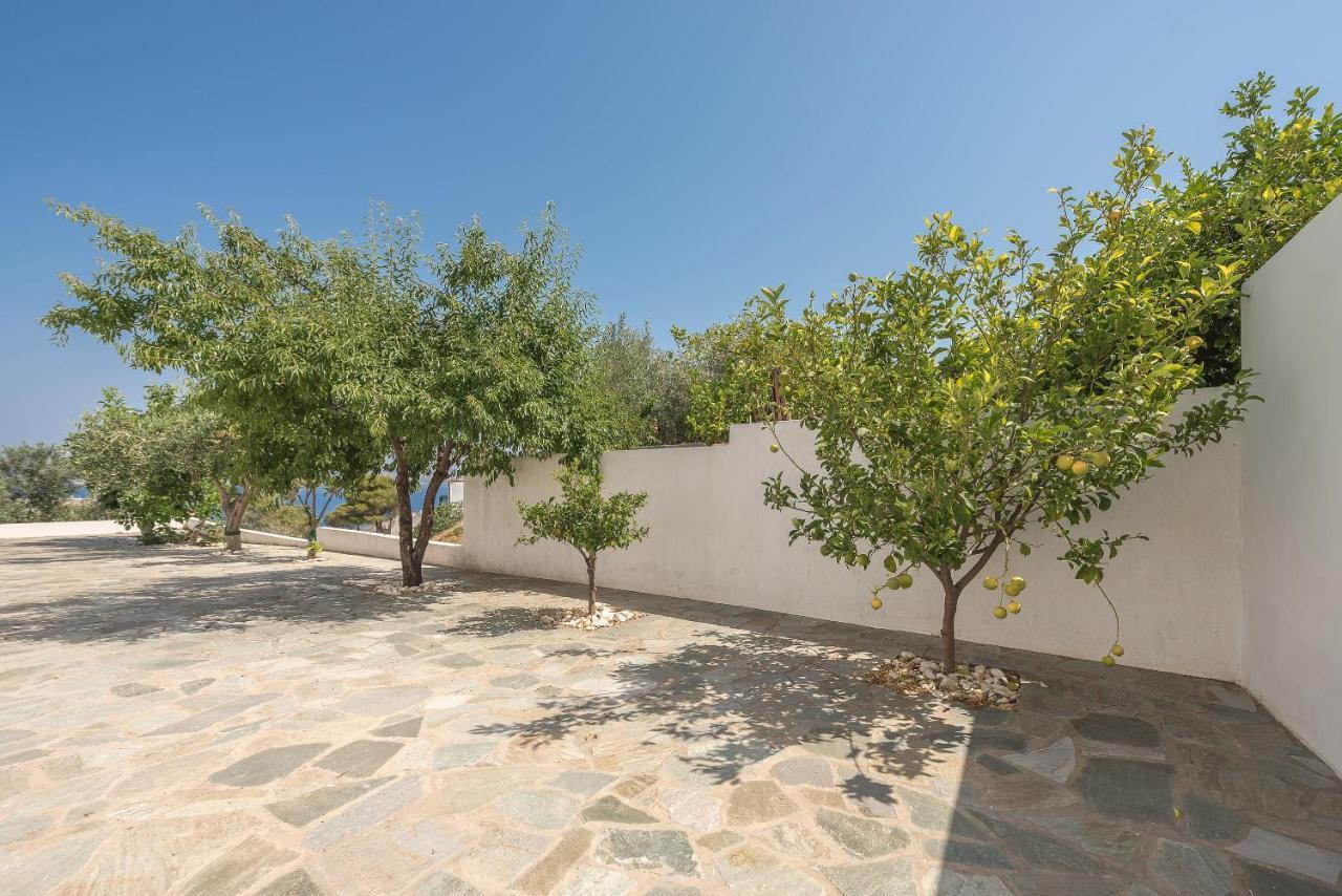 Villa Luna Private Heated Hydro Pool Bbq Beach 4Min Agia Marina Mikrolimanou المظهر الخارجي الصورة